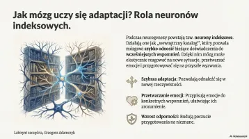 Neurogeneza 2